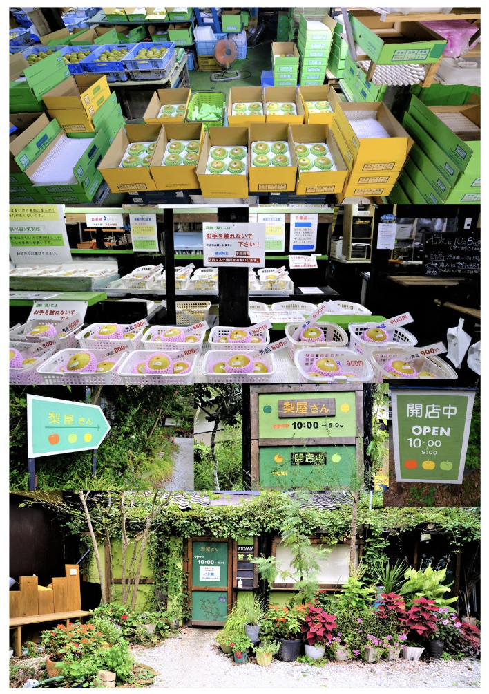 /img/blog/22_kanta_2.png