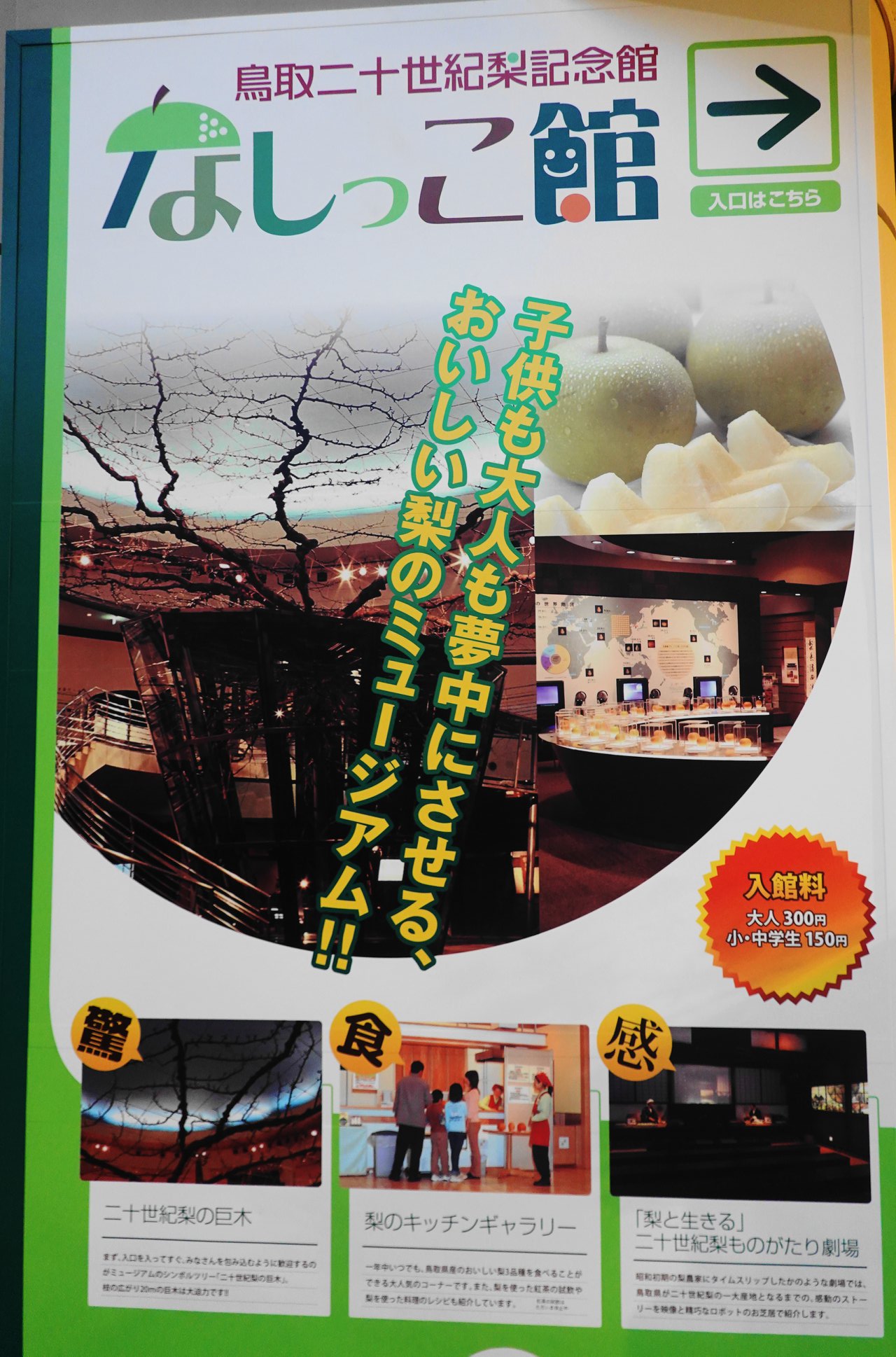 研修旅行